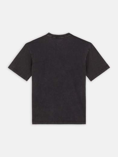 DICKIES DK0A866B