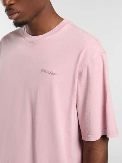 DICKIES DK0A866B