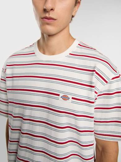 DICKIES DK0A4Z8S