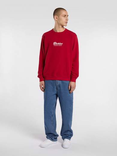 DICKIES DK0A8682