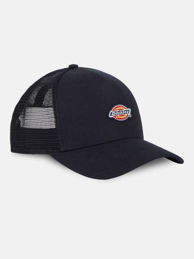 DICKIES DK0A4YV3