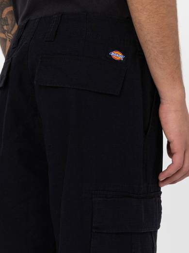 DICKIES DK0A4X9X