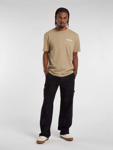 DICKIES DK0A4Z7G