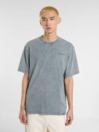 DICKIES DK0A866B