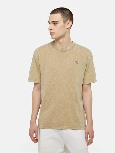 DICKIES DK0A4YRO
