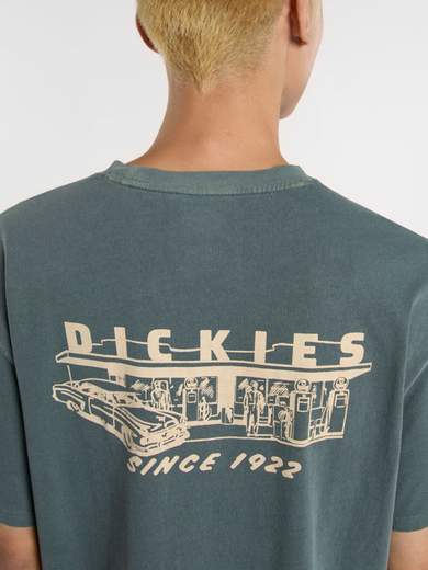DICKIES DK0A4Z8X