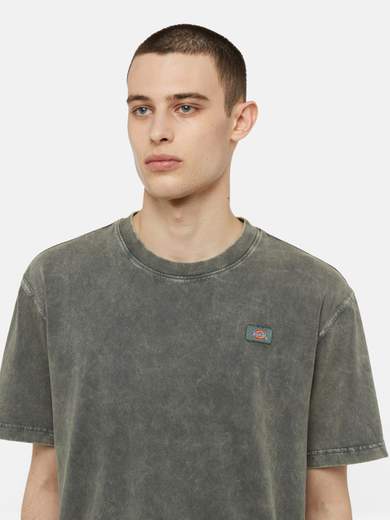 DICKIES DK0A4YRO