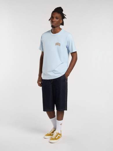 DICKIES DK0A4YSY