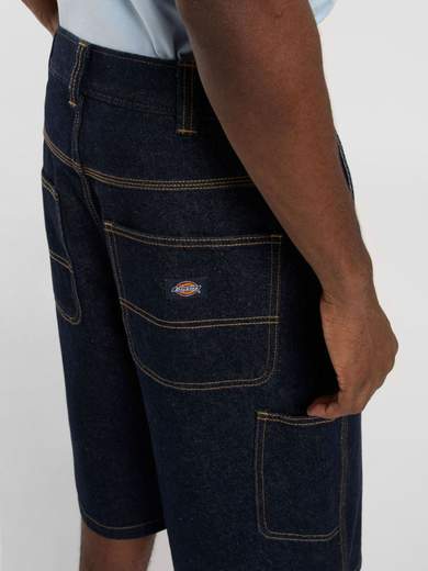 DICKIES DK0A4YSY