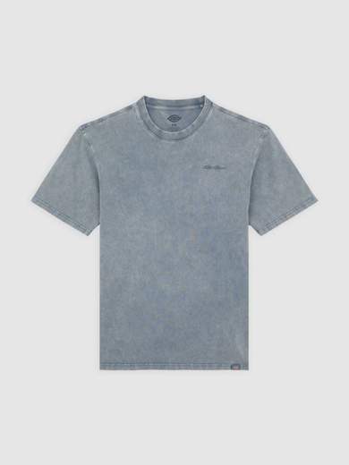 DICKIES DK0A866B