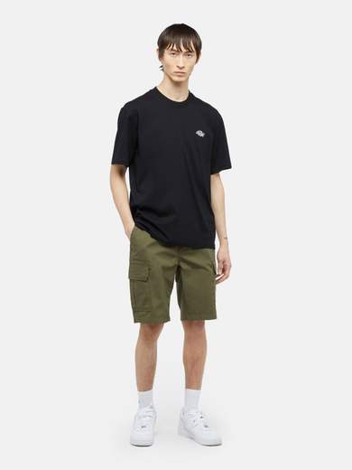 DICKIES DK0A4XED