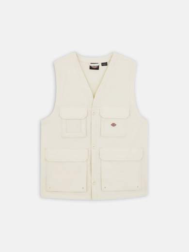 DICKIES DK0A4YQP