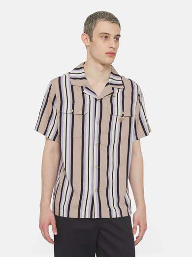 DICKIES DK0A4YYS