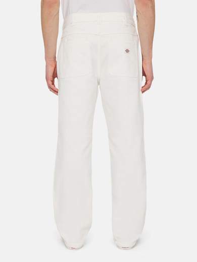 DICKIES DK0A4YPX