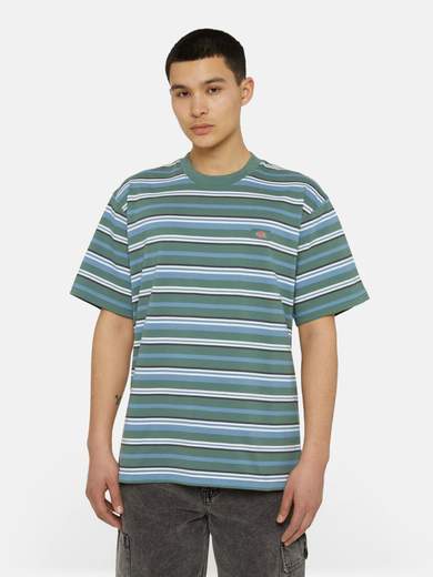 DICKIES DK0A4YR1