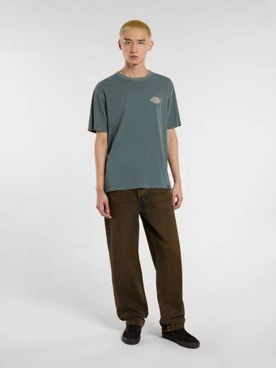 DICKIES DK0A4Z8X
