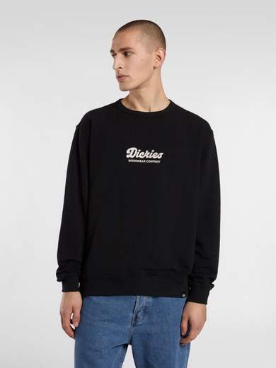 DICKIES DK0A8682