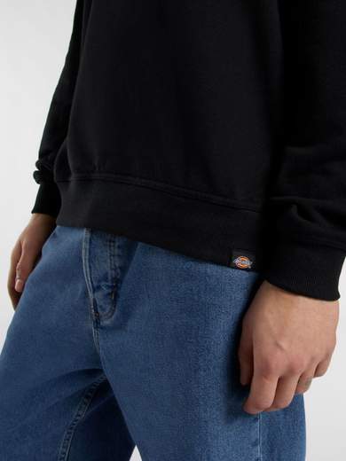 DICKIES DK0A8682