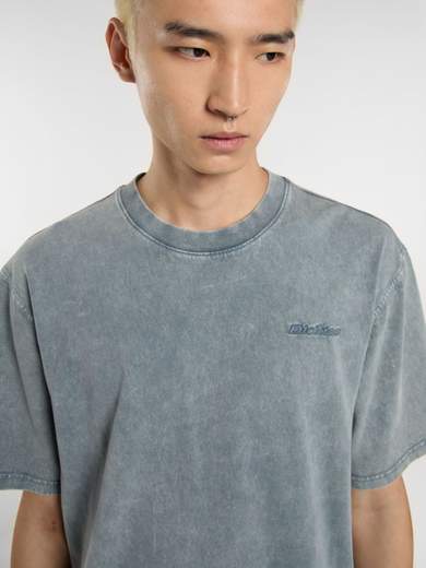 DICKIES DK0A866B