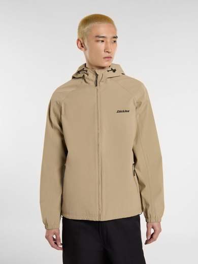 DICKIES DK0A4Z3Y
