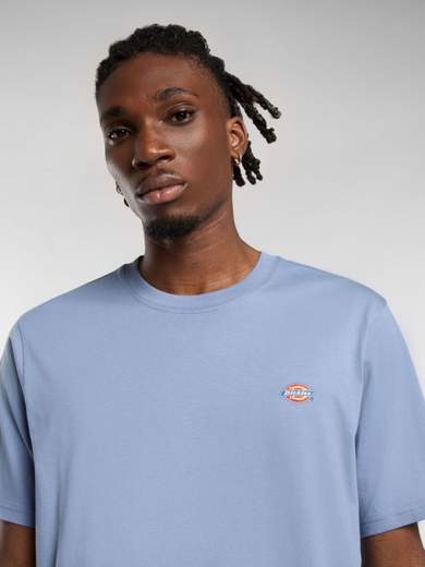 DICKIES DK0A4XDB