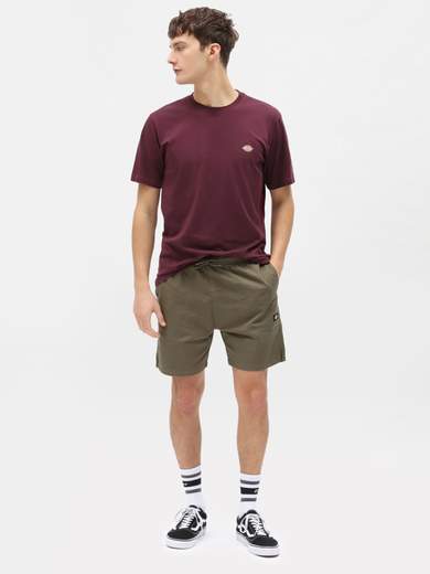 DICKIES DK0A4XDB