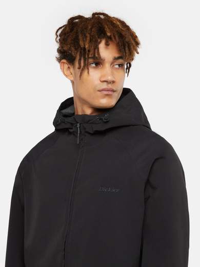 DICKIES DK0A4Z3Y