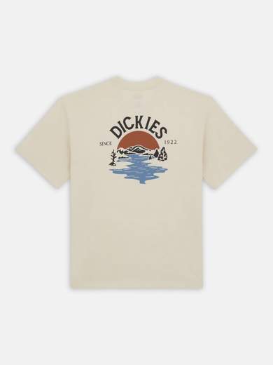 DICKIES DK0A4YRD