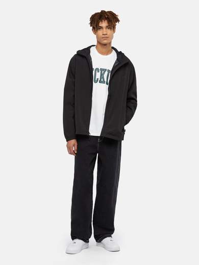 DICKIES DK0A4Z3Y