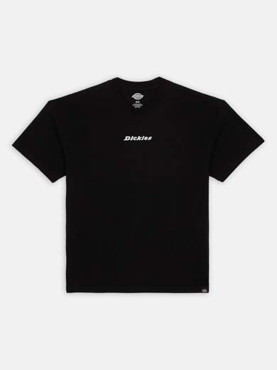 DICKIES DK0A4YRN