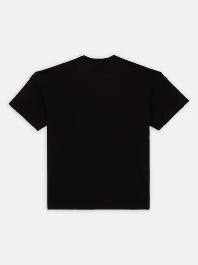DICKIES DK0A4YRN