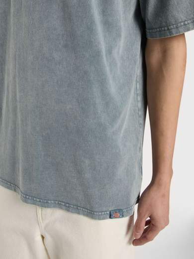 DICKIES DK0A866B