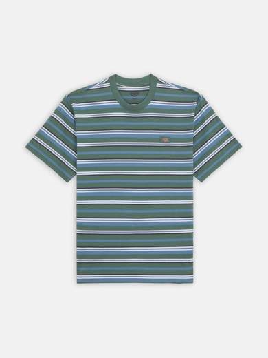DICKIES DK0A4YR1
