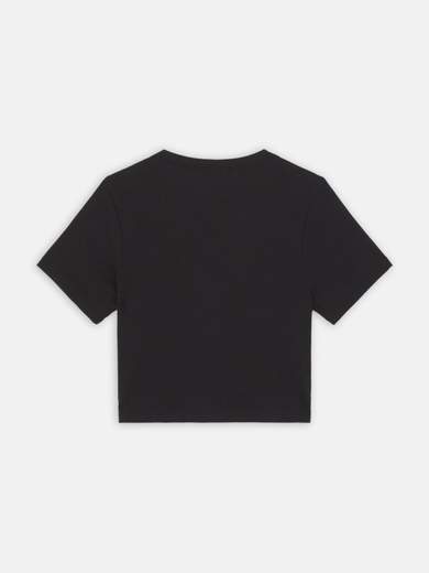 DICKIES DK0A4YRU
