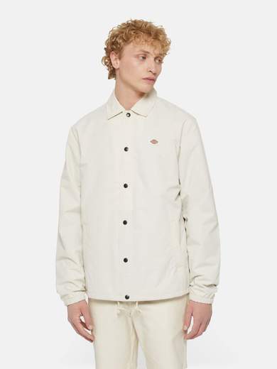 DICKIES DK0A4XEW