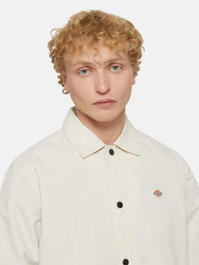 DICKIES DK0A4XEW