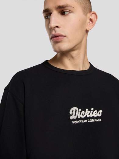 DICKIES DK0A8682