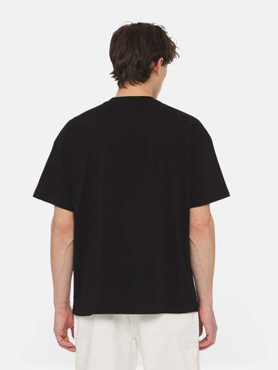 DICKIES DK0A4YRN