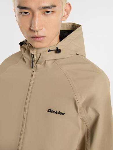 DICKIES DK0A4Z3Y