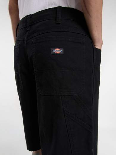 DICKIES DK0A4XNG