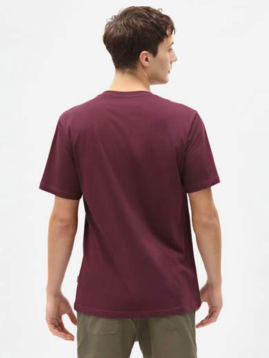 DICKIES DK0A4XDB