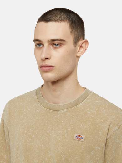 DICKIES DK0A4YRO