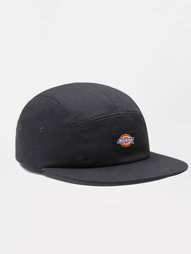DICKIES DK0A4XC1