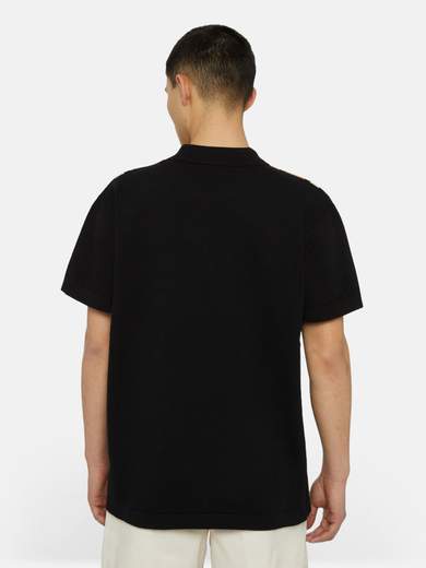 DICKIES DK0A4YSO