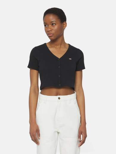 DICKIES DK0A4YRU