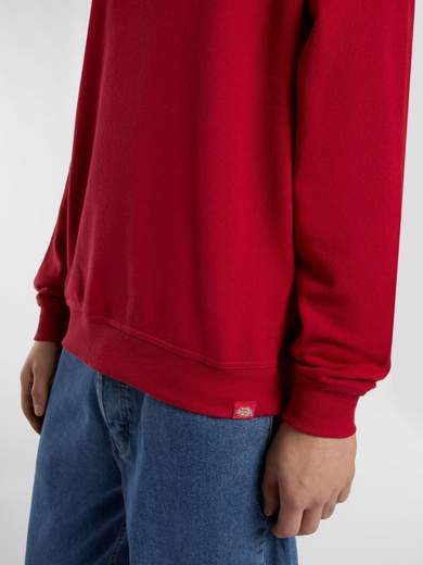 DICKIES DK0A8682