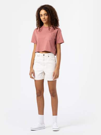 DICKIES DK0A4XRS