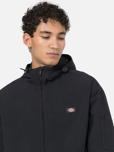 DICKIES DK0A4Y6X