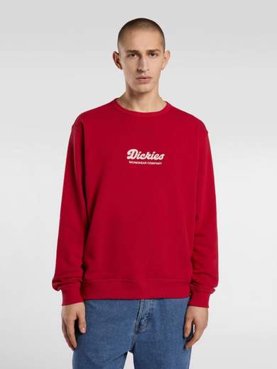 DICKIES DK0A8682