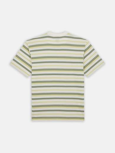 DICKIES DK0A4YR1